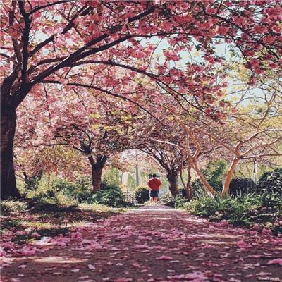 美高梅mgm集团4688