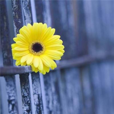 爱游戏平台官方网站