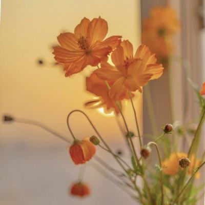 pk10下载官方版下载