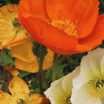 安博体育·(中国)官方网站