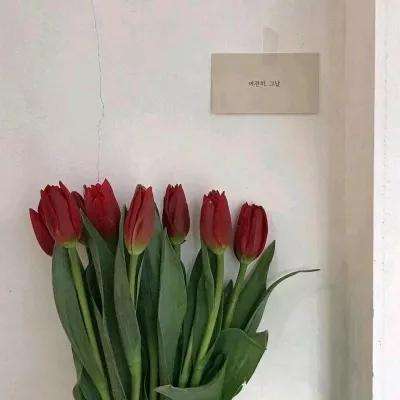 365在线下载手机版